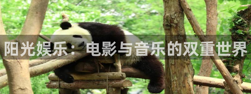 彩神vii官方：阳光娱乐：电影与音乐的双重世界