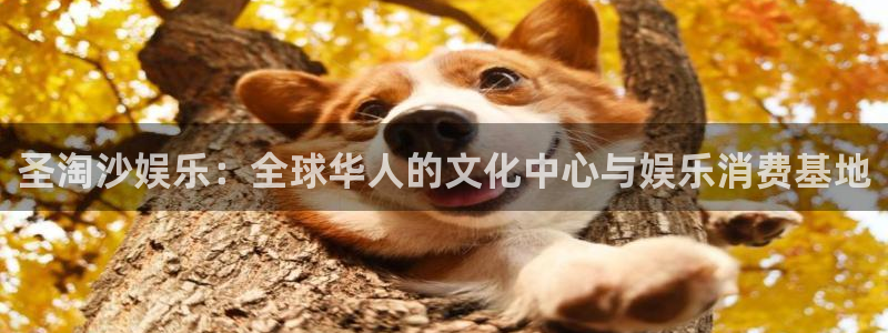 彩神vii官方：圣淘沙娱乐：全球华人的文化中心与娱乐消费基地