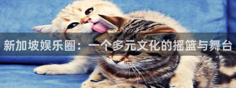 彩神vii官方：新加坡娱乐圈：一个多元文化的摇篮与舞台
