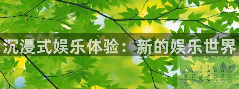 彩神vii官方：沉浸式娱乐体验：新的娱乐世界