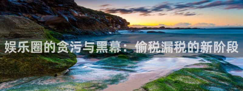 彩神vii官方：娱乐圈的贪污与黑幕：偷税漏税的新阶段