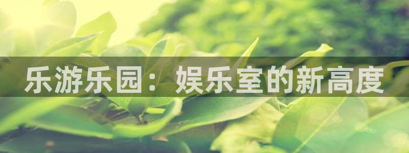 彩神vii官方：乐游乐园：娱乐室的新高度